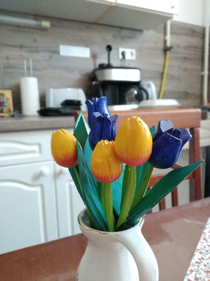 Apartmán Szent Miklos *
